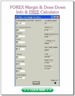 Forex margin requirement calculator